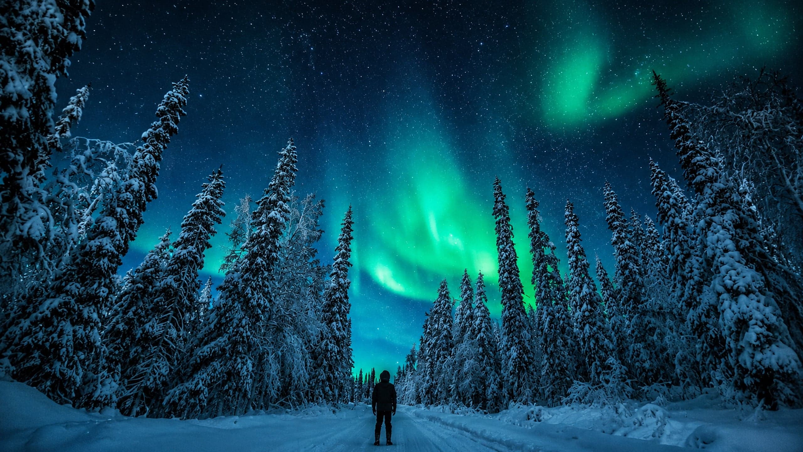 08-Rovaniemi-Northern-Lights-2560x1440